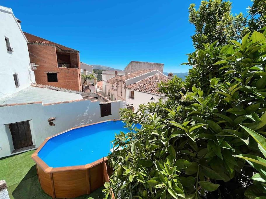 La Palmera. Casa Rural Con Piscina Privada. Benadalid ภายนอก รูปภาพ