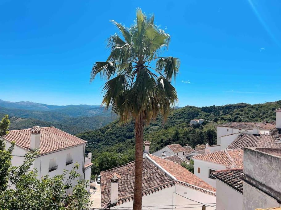 La Palmera. Casa Rural Con Piscina Privada. Benadalid ภายนอก รูปภาพ